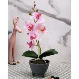 tayhaa  1 Pieces Orchid Artificial Plant With Pot-picture-36