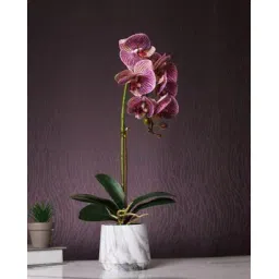 tayhaa 1 Pieces Orchid Artificial Plant With Pot-picture-41