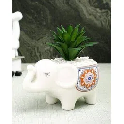 tayhaa Artificial Plant with Ceramic Pot-picture-28