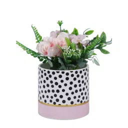 Tayhaa Black & Pink Ceramic Planter image 2