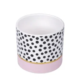 Tayhaa Black & Pink Ceramic Planter image 5