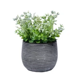 Tayhaa Black Ceramic Spiral Design Planter image 2