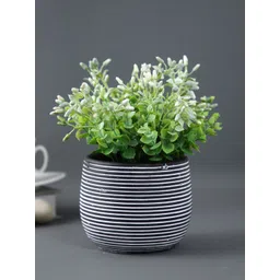 TAYHAA Black Spiral Design Ceramic Planter-picture-13