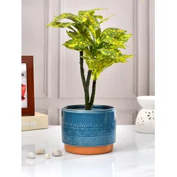 TAYHAA Blue & Brown Printed Ceramic Planter-picture-14