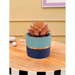 TAYHAA Blue & Gold Toned Printed Sucullent Artificial Plant With Pot-picture-35