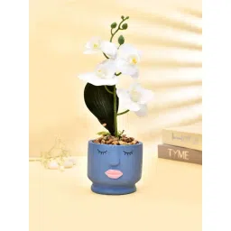 Tayhaa Blue & White Ceramic Artistic Face Planter With Artificial Orchids-picture-13