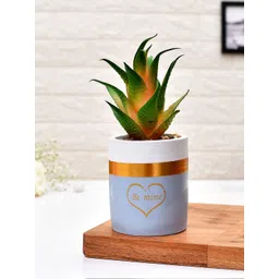TAYHAA Green & Blue Printed Sucullent Artificial Plant With Pot-picture-21