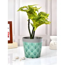 TAYHAA Green & Grey Printed Ceramic Planter-picture-21