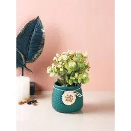 Tayhaa Green & Pink Ceramic Rose Artificial Plant with Pot-picture-44