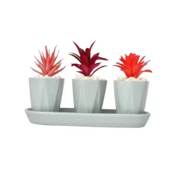 Tayhaa Grey Ceramic Artificial Plant with Pot-picture-30