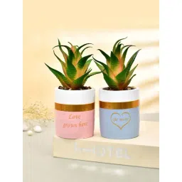Tayhaa Multicolor Ceramic Citrus Delight Artificial Succulent With Planters - Set of 2-picture-14
