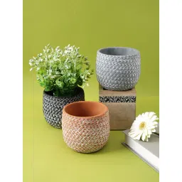 Tayhaa Multicolor Ceramic Planter - Set of 3-picture-13