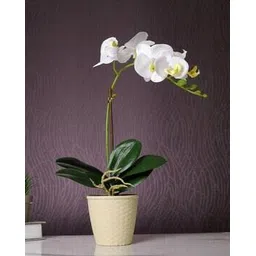tayhaa Orchid Artificial Plant with Pot-picture-15