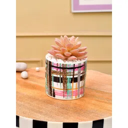 TAYHAA Pink & White Printed Succulent Artificial Plant With Pot-picture-34
