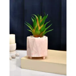 Tayhaa Pink Ceramic Citrus Delight Artificial Succulent With Planter-picture-38