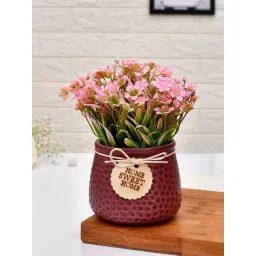 Tayhaa Pink Ceramic Textured Artificial Plant with Pot-picture-17