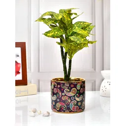 TAYHAA Red & Green Printed Ceramic Planter-picture-19
