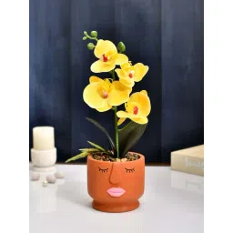 Tayhaa Rust & Yellow Ceramic Artistic Face Planter With Artificial Orchids-picture-16