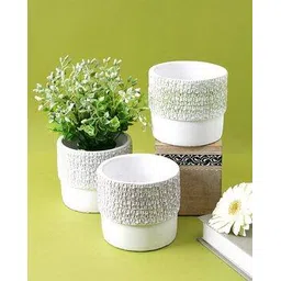 tayhaa Set of 2 Textured Planters-picture-33
