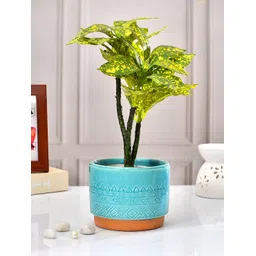 TAYHAA Teal Blue & Orange Printed Ceramic Planter-picture-12