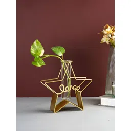 TAYHAA Transparent Metal & Glass Star Shaped Flower Vase-picture-14