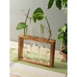 Tayhaa Transparent Wood Vases - Set of 4-picture-21