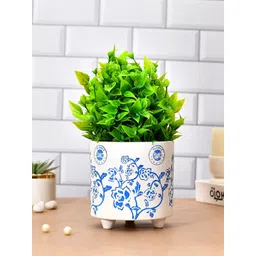 TAYHAA White & Blue Printed Botanical Bliss Ceramic Planter-picture-36