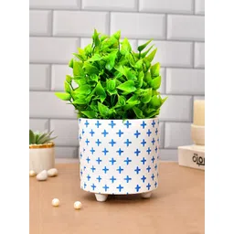 TAYHAA White & Blue Printed Ceramic Planter-picture-23