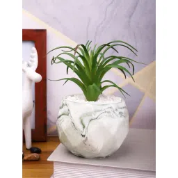 Tayhaa White & Green Plastic Fig Artificial Plant with Pot-picture-37