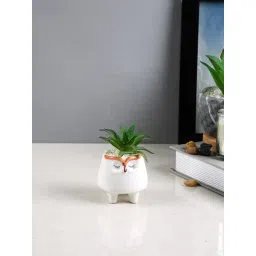 Tayhaa White & Green Plastic Succulent Artificial Plant with Pot-picture-45