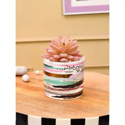 TAYHAA White & Pink Striped Sucullent Artificial Plant-picture-32