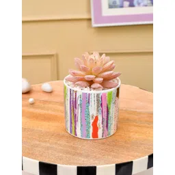 TAYHAA White & Pink Striped Sucullent Artificial Plant-picture-30