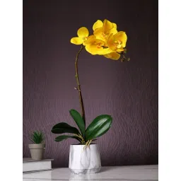 Tayhaa White & Yellow Plastic Orchid Artificial Plant with Pot-picture-18
