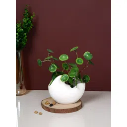 TAYHAA White Ceramic Cloud Embrace Sculpted Planter-picture-13