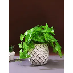 TAYHAA White Textured Ceramic Planter-picture-27