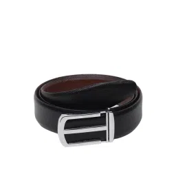Teakwood Leathers Black Leather Waist Belt for Men-picture-31