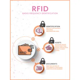 Teakwood Leathers Men Brown Solid Zip Around Wallet image 3