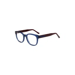 Ted Smith Blue Wayfarer Unisex Eyewear Frames-picture-41
