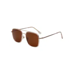 Ted Smith Brown Aviator Sunglasses for Unisex-picture-24