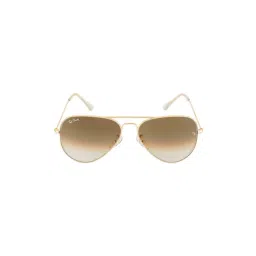 Ted Smith Brown Metal Unisex Sunglasses-picture-33