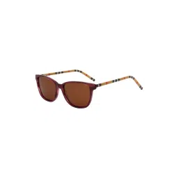 Ted Smith Brown Oval UV Protection Unisex Sunglasses-picture-17