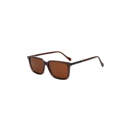 Ted Smith Brown Rectangular UV Protection Unisex Sunglasses-picture-45