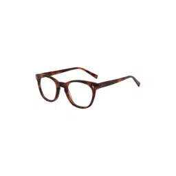 Ted Smith Brown Round Unisex Eyewear Frames - BENSON2_C1-picture-20