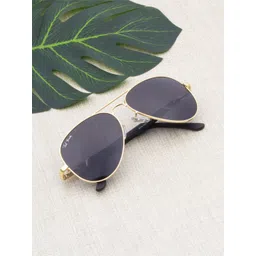 Ted Smith Unisex Aviator Sunglasses With UV Protected Lens ARISTAR_C4-picture-36