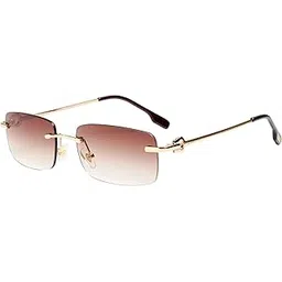 ted smith Unisex Brown Lens & Gold-Toned Rectangle Sunglasses-picture-11