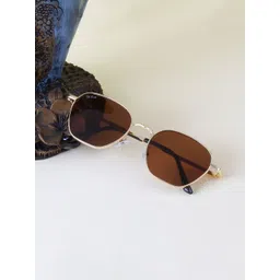 Ted Smith Unisex Brown Lens & Gold-Toned Square Sunglasses with-picture-27
