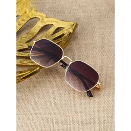 Ted Smith Unisex Brown Lens & Gold-Toned Square Sunglasses with-picture-22