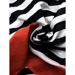 TEEJH Striped Pure Cotton Saree image 5