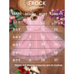 Tejam Net Fit & Flare Dress-picture-23