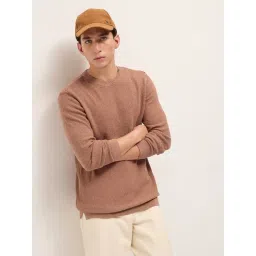 The Bear House Taupe Cotton Woven Design Sweatshirt-picture-41